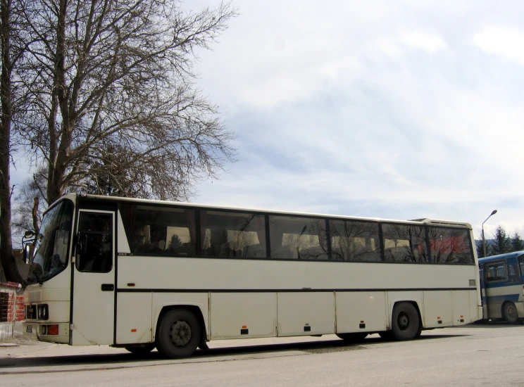 two buses parked next to each other on the side of the street