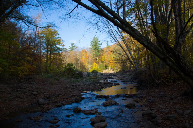 there is a stream flowing in the woods