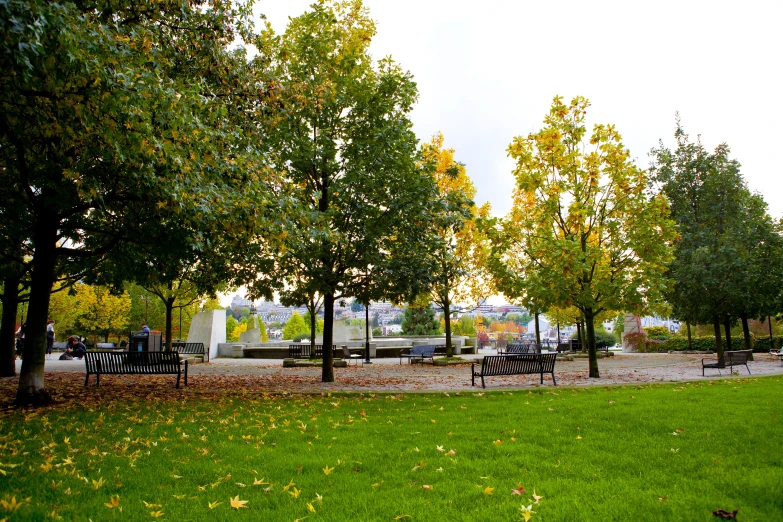 several benches and trees in the background