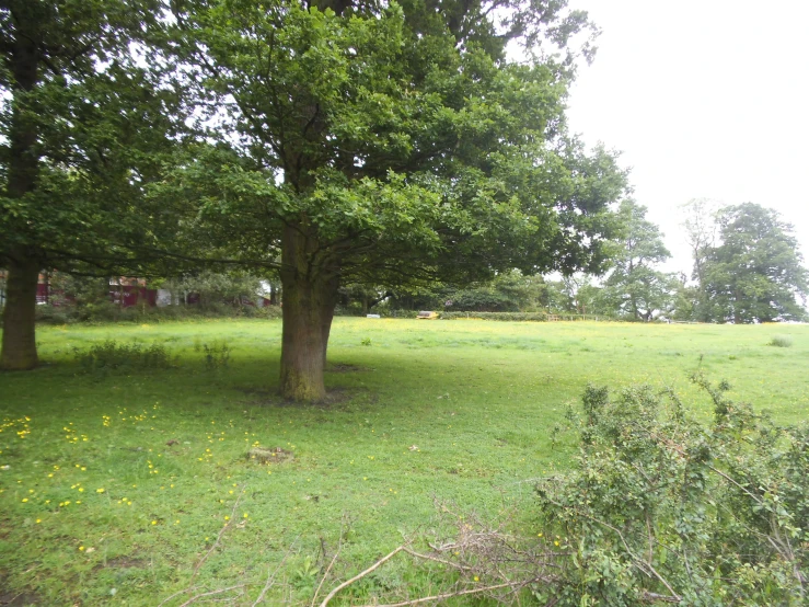 a very large field with trees and a building in the distance