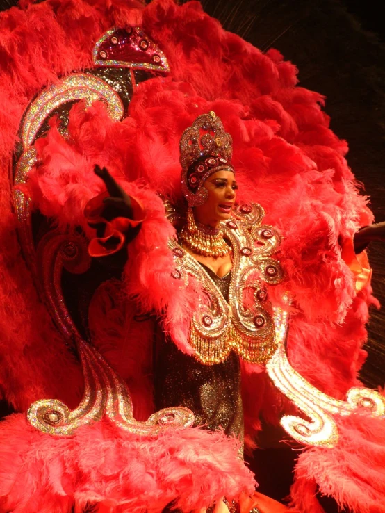 woman in red and gold costume with feathers, at a carnival