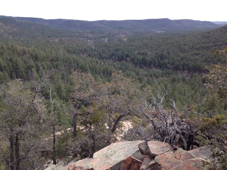 a mountain overlook looking into a forested forest area