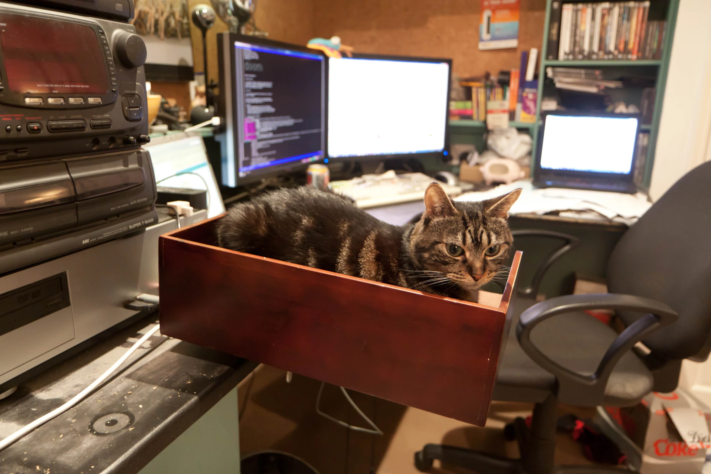 a cat is lying on top of a wooden box