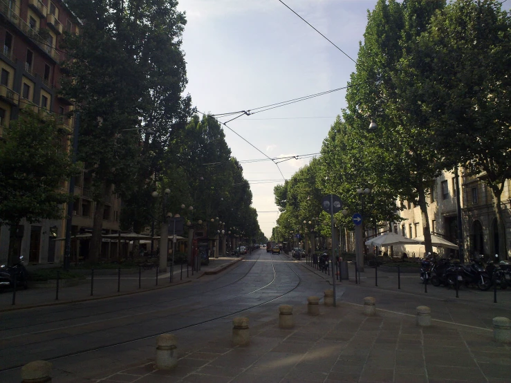 an empty street with a row of trees on both sides