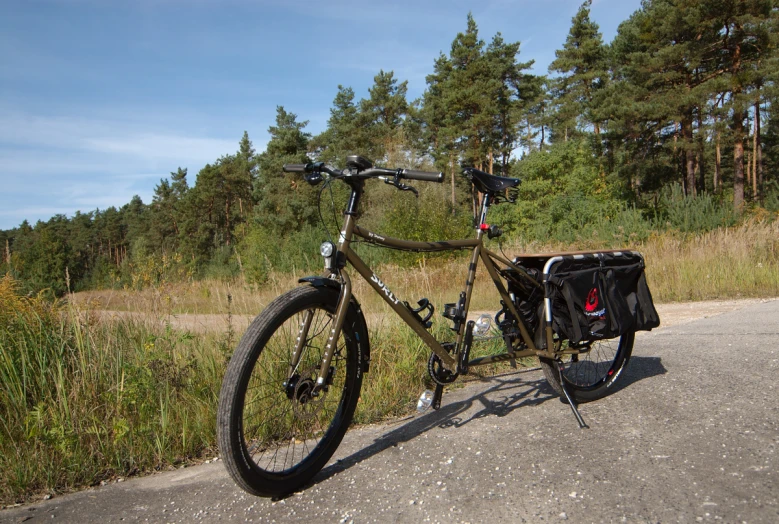 a bicycle with a trailer parked on the side of a road