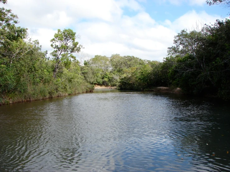 the calm river is calm and clean on the sunny day