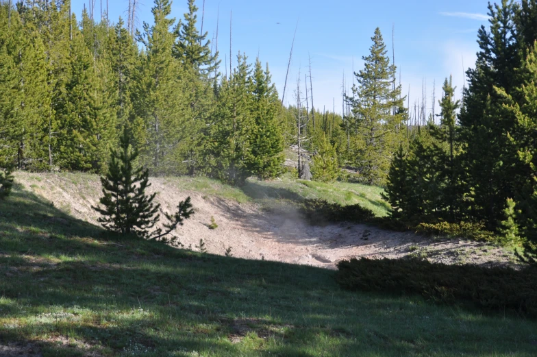 a lone bench on a hill overlooking the forest