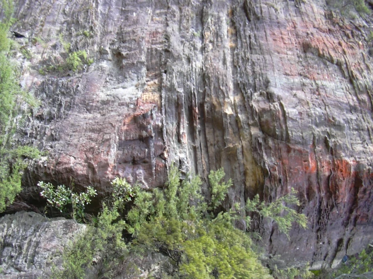 a rocky mountain is shown with green trees near by