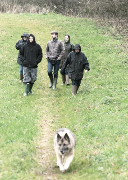 people are walking through the grass with a dog