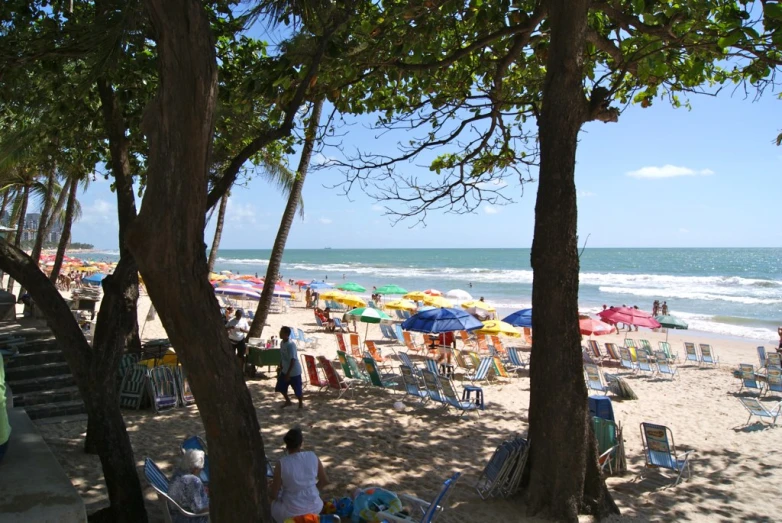 a sandy beach next to the ocean under a tree lined path