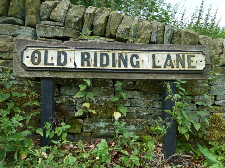 there is an old ridding lane sign in the woods