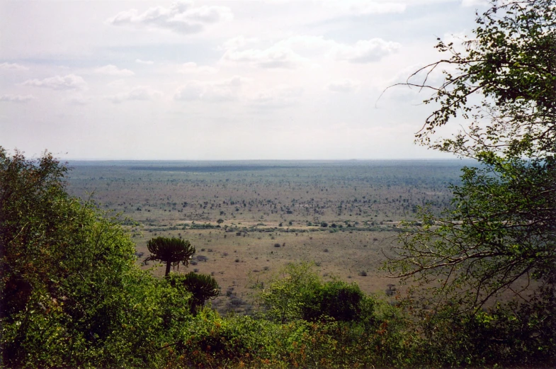 the sun shines on an expansive savanna in africa