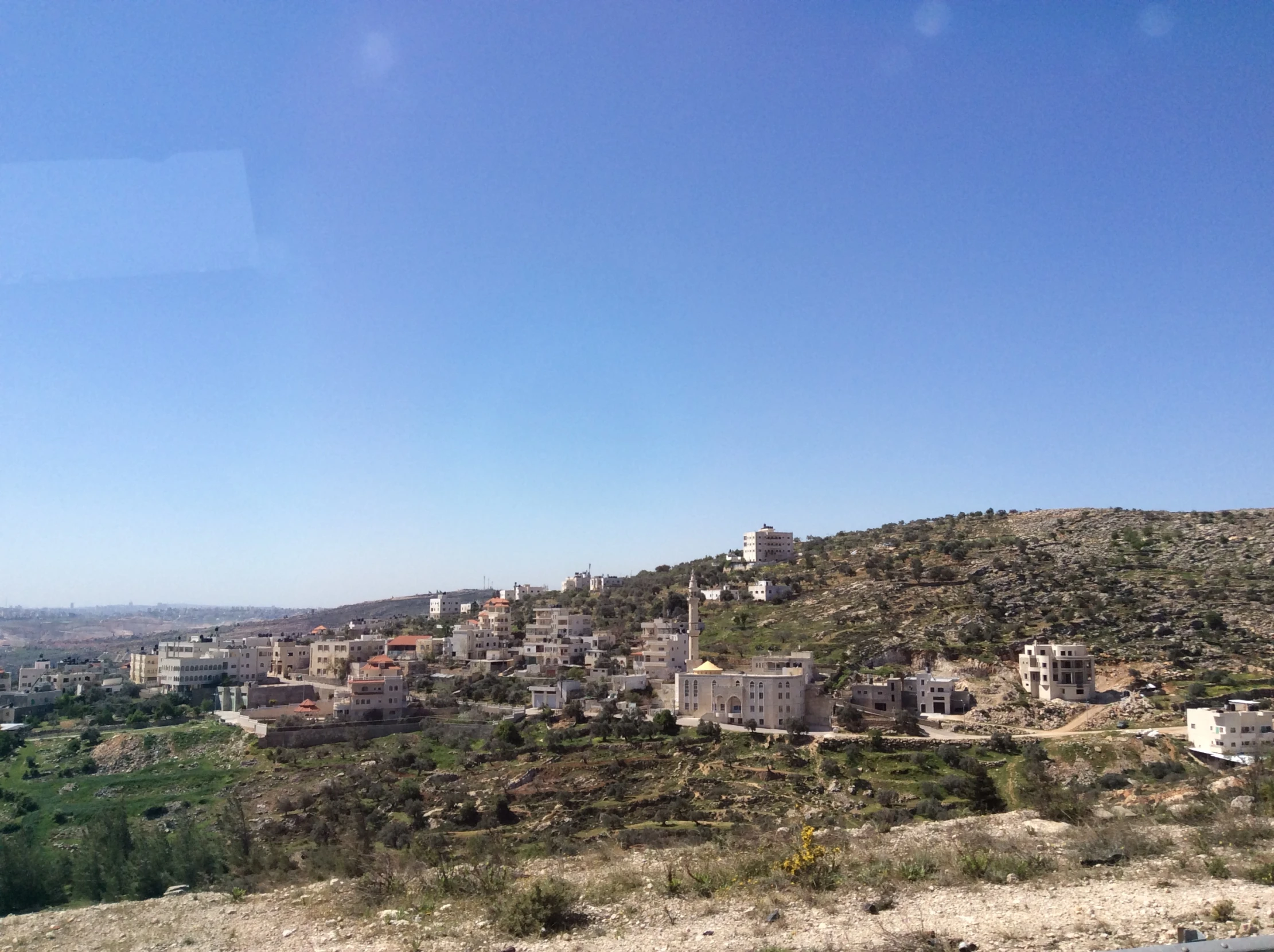 some houses are on a hill with bushes