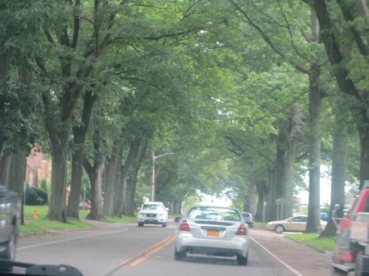 cars driving down the street near a line of trees