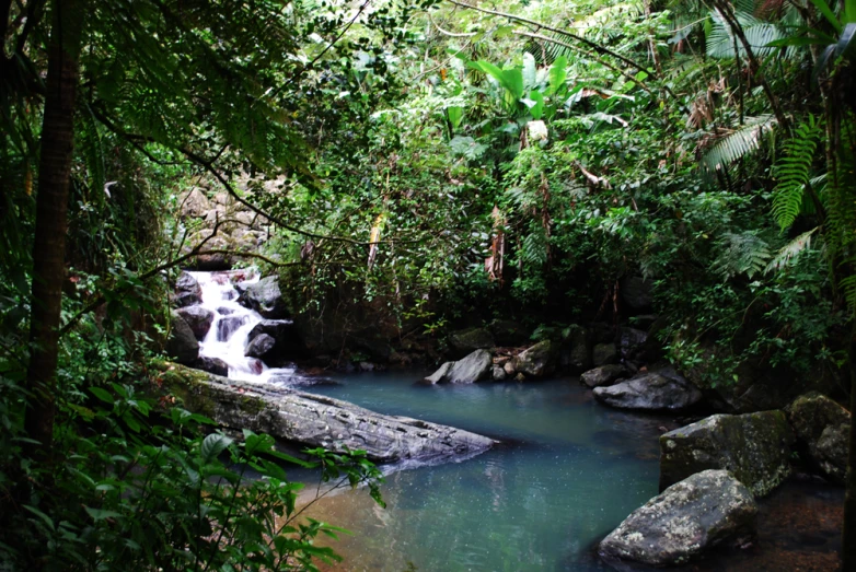 a waterfall with many small pools in the middle of a forest