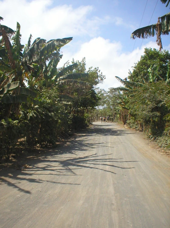 the dirt road is clear and empty in some countries