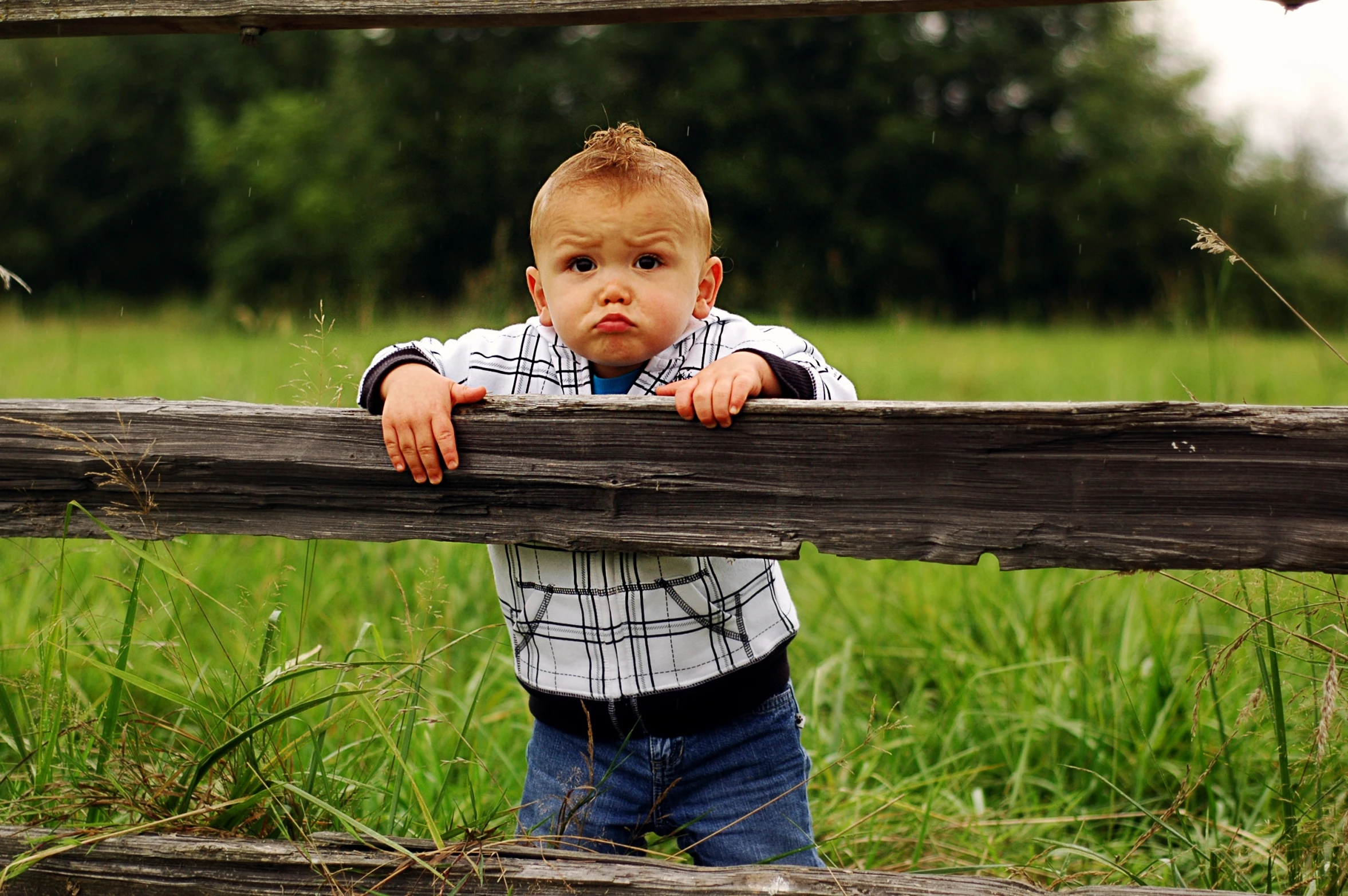 a little boy leans over a wooden fence