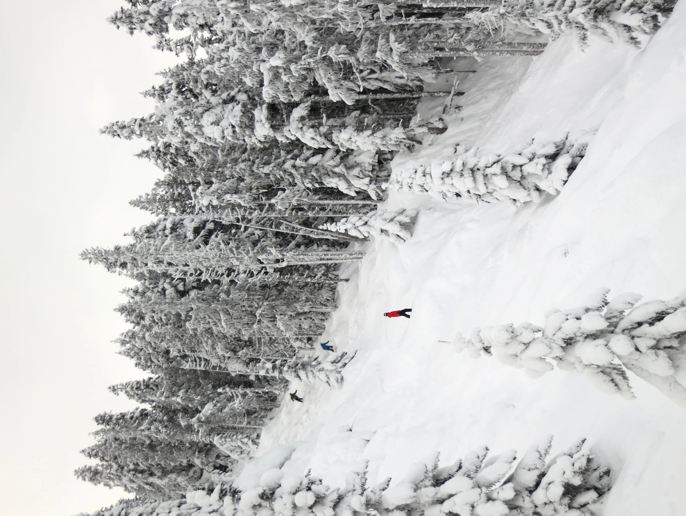 a person riding skis down the side of a snow covered slope