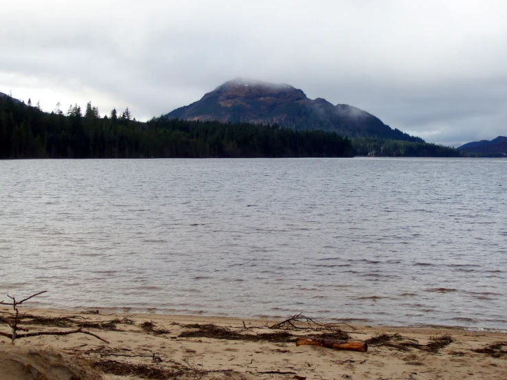 the lake with no water, grass and trees