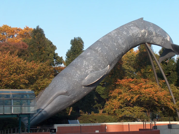 a statue of a whale is in front of a building