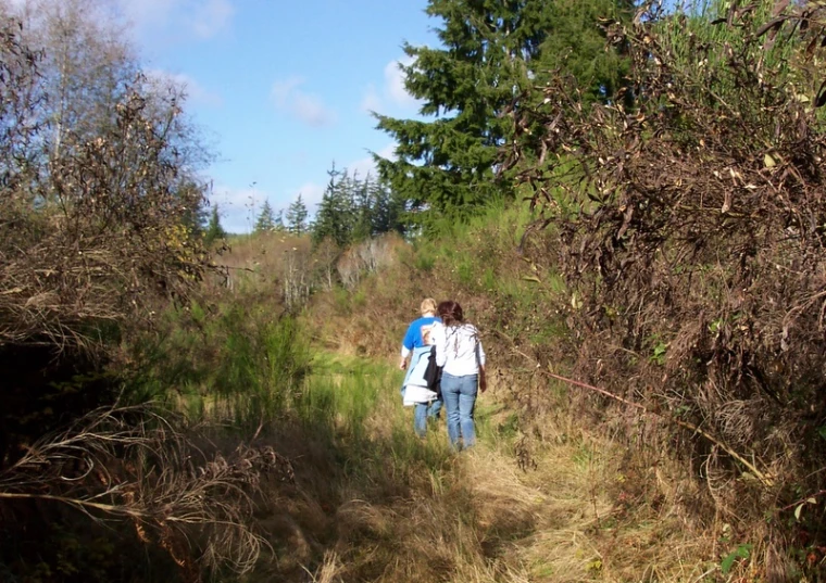 a couple of people that are walking through some brush