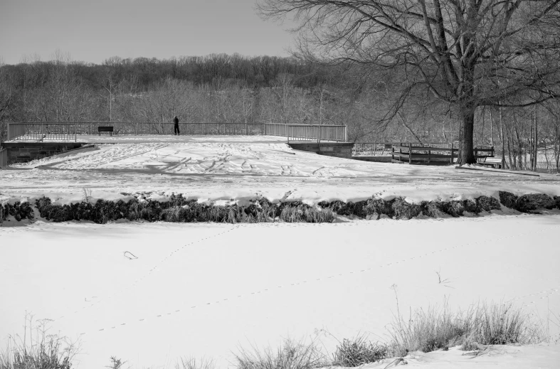 a black and white po of a snow - covered field