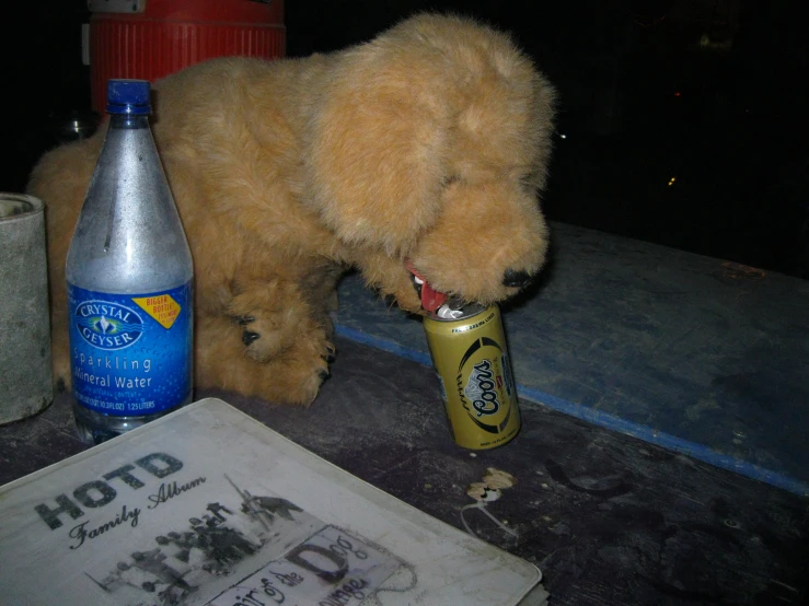 a brown dog smelling a bottle with the end of it