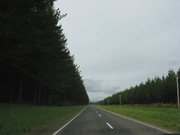 an empty street and the road is lined with trees