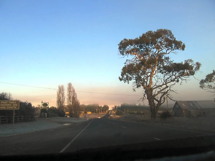 a road that has some trees in the middle of it