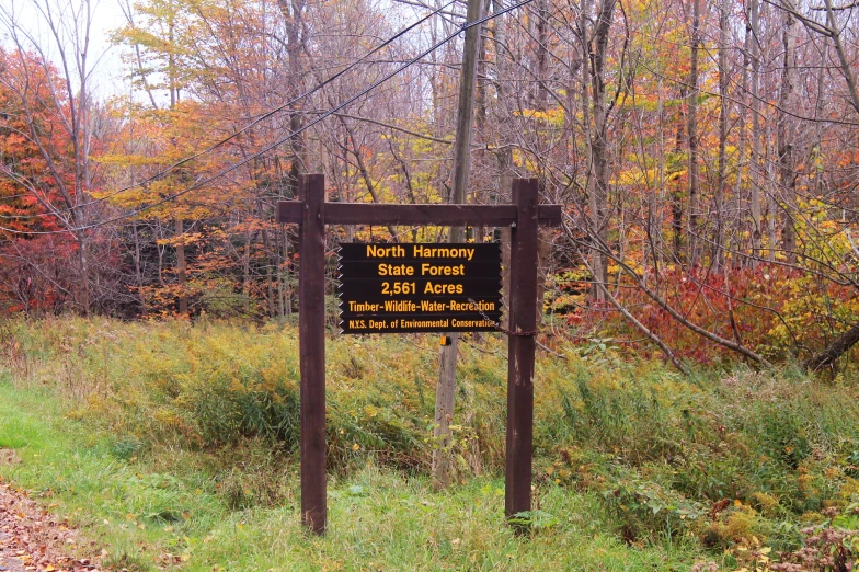 a sign for the highway next to a wooded area