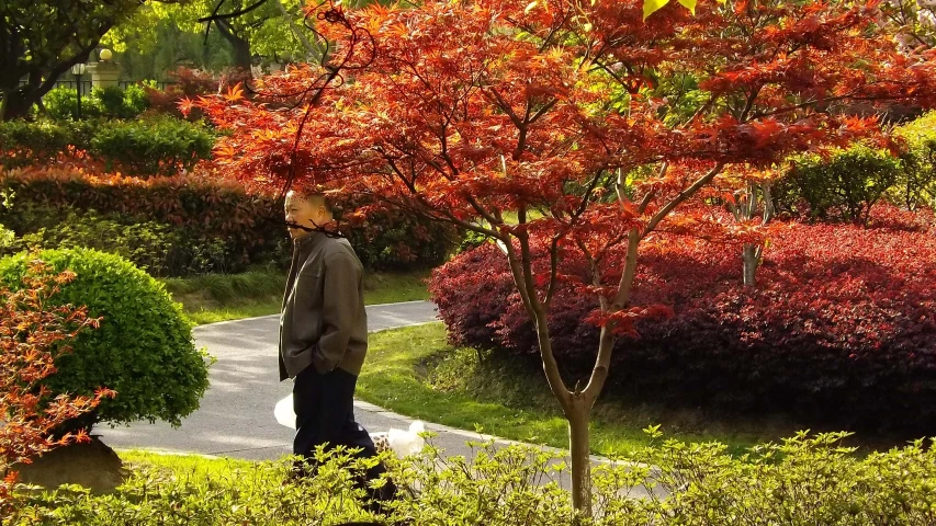 a man with a backpack walking in a lush green garden