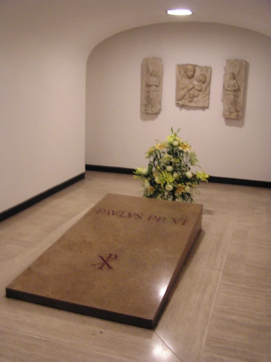 a plant sits in the center of an empty room