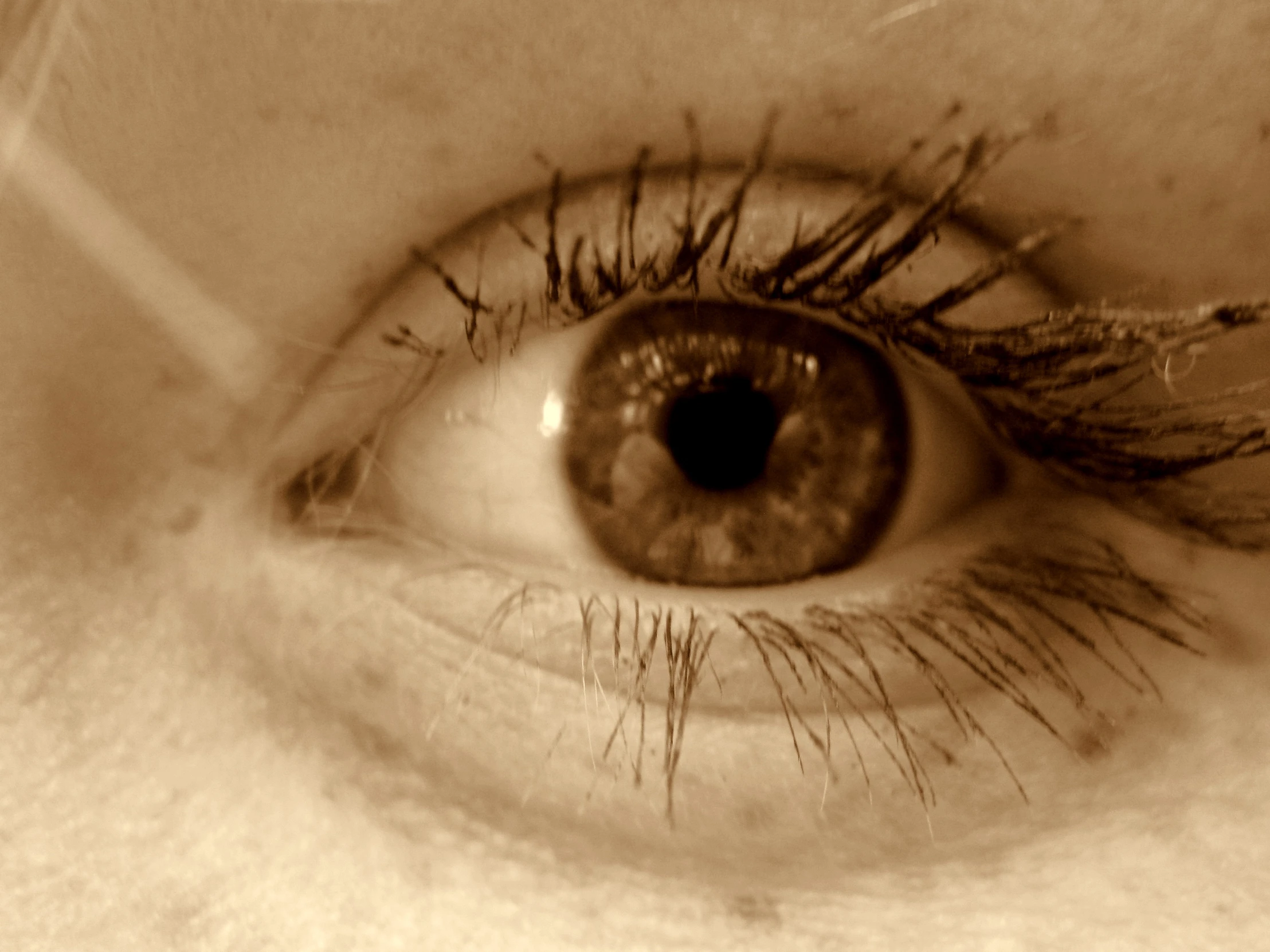 a pograph of a eye and the iris