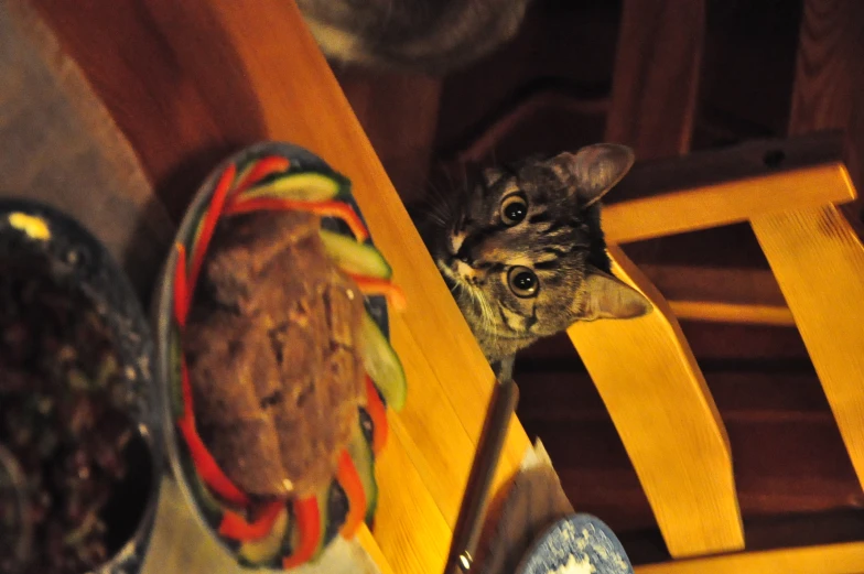 a cat sitting behind a table with dishes and food