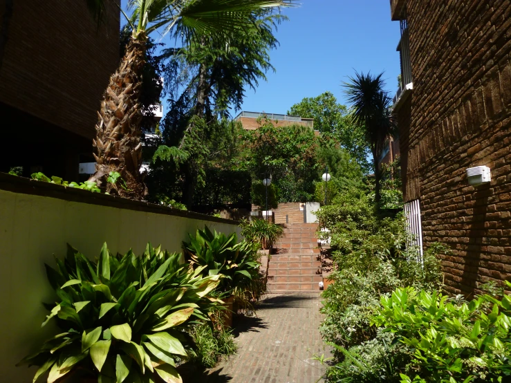 a narrow brick path leading between two buildings and trees