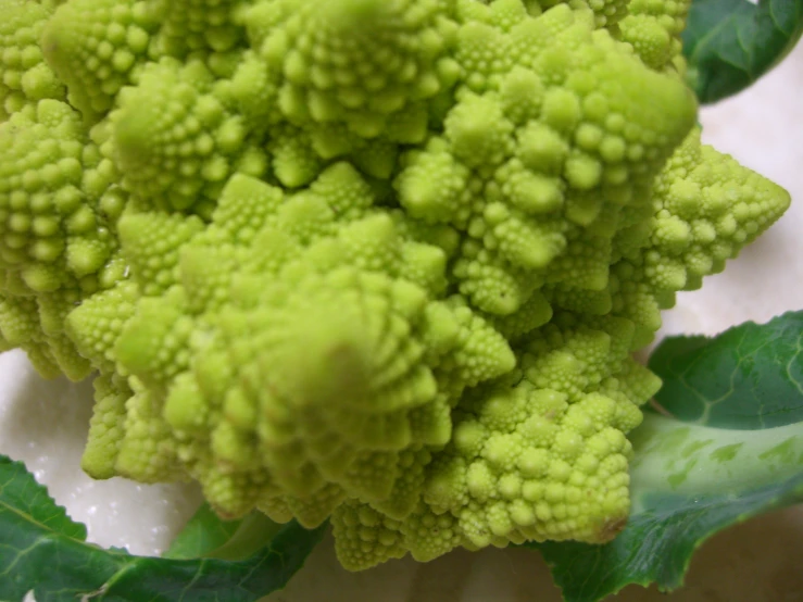 a close up s of some broccoli