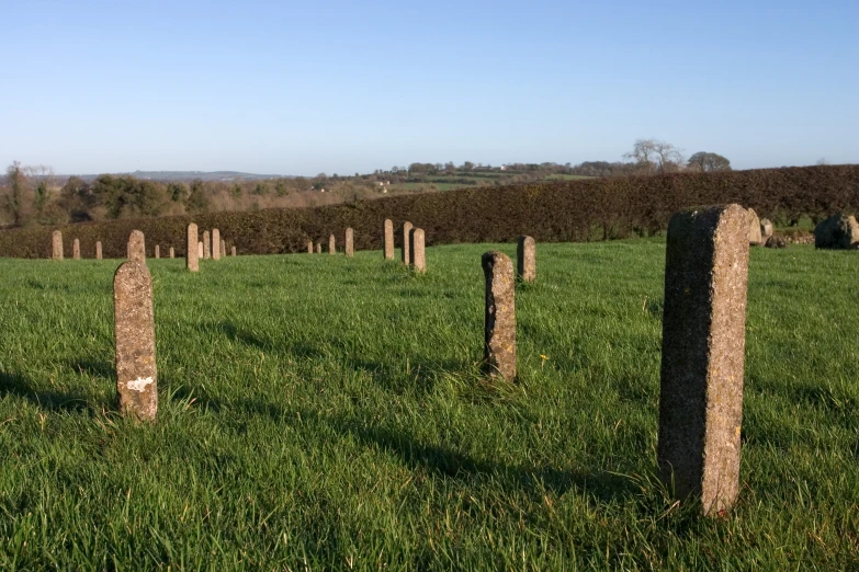 four wooden posts are on the grass in a field