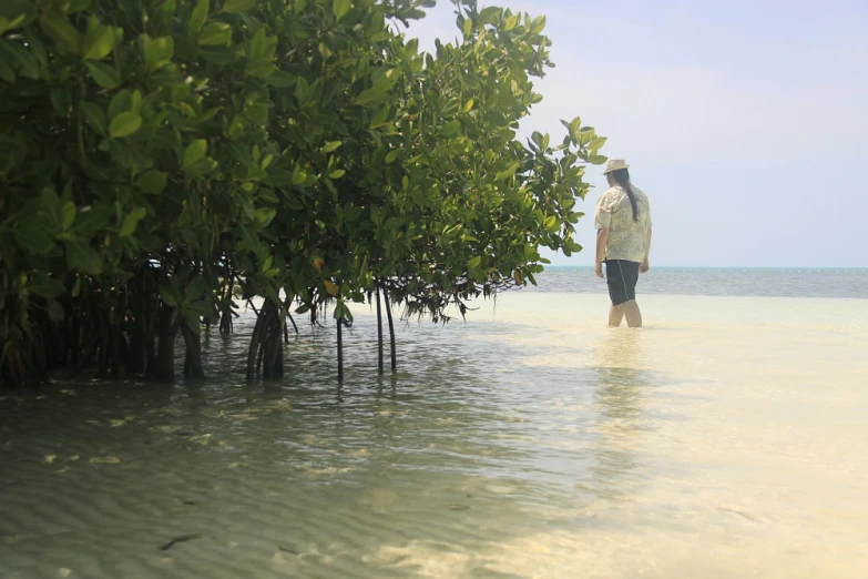 a man is standing alone near some trees