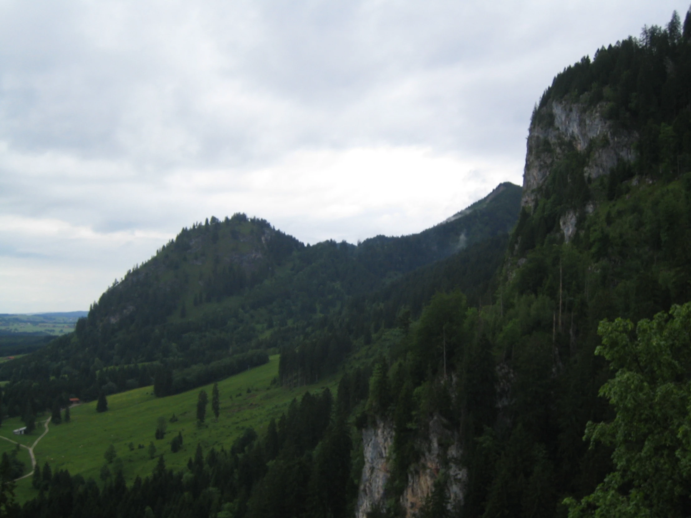 the hills are green and lush with some trees