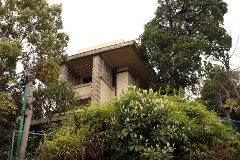 a house in the midst of some trees