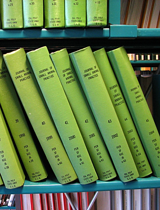 rows of lime green books on top of shelves