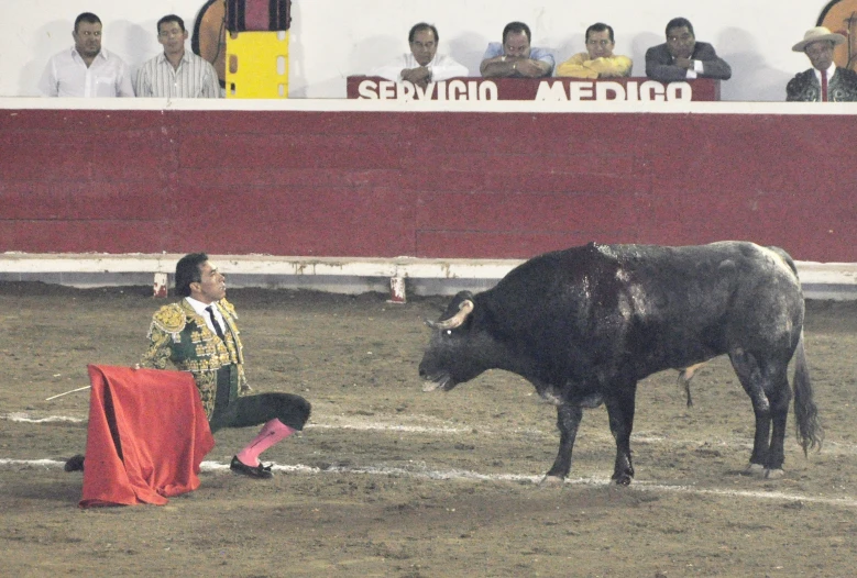 the man is kneeling down in front of a bull