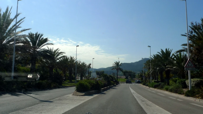 an empty road is lined with palm trees