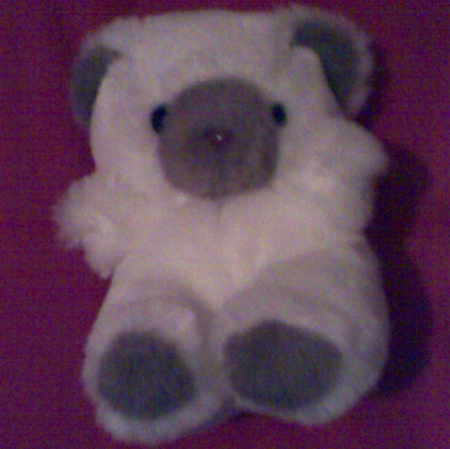 a teddy bear with black feet and white fur