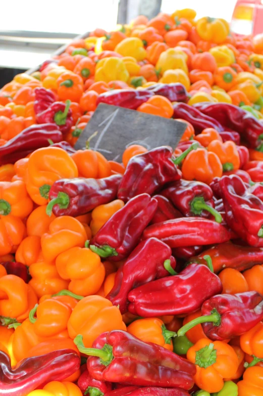 orange peppers are arranged in an array