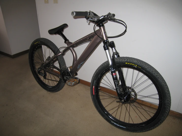 a bicycle sitting against a wall in a house