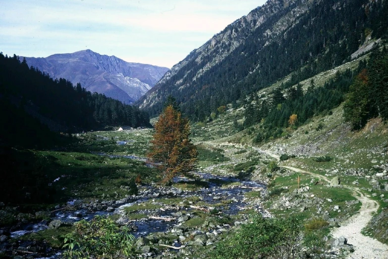 a mountain valley with a dirt path leading to the mountains