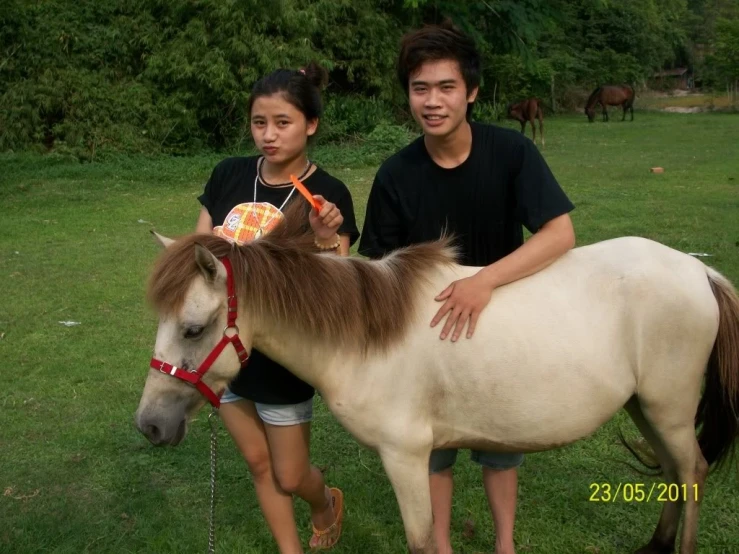 a man and woman posing with a pony in the grass