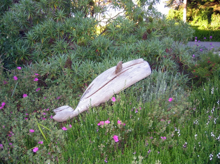 a white object sitting in the middle of some pink flowers
