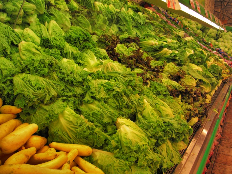 an aisle filled with lots of vegetables including lettuce and broccoli